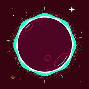 Meet your Posher, Bobbie